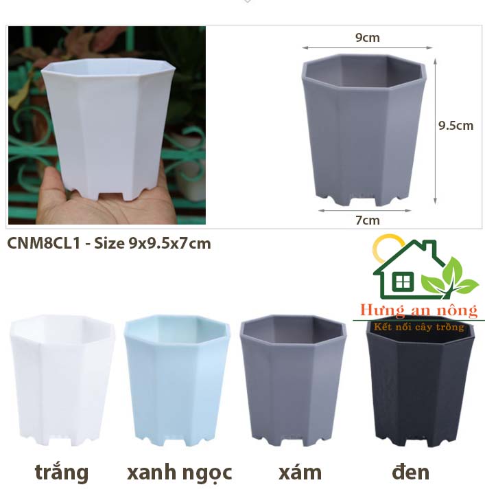 CNM8CL1 - chậu 8 cạnh chuyên trồng sen đá xương rồng bonsai nhựa PP dầy gần 2mm size 9cm