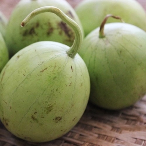 Hạt giống dưa hường xanh non Thái Lan