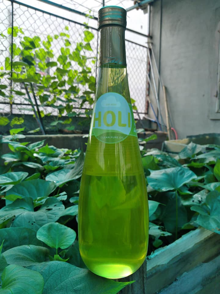 Dầu lạc nguyên chất ép lạnh Holi 500ml