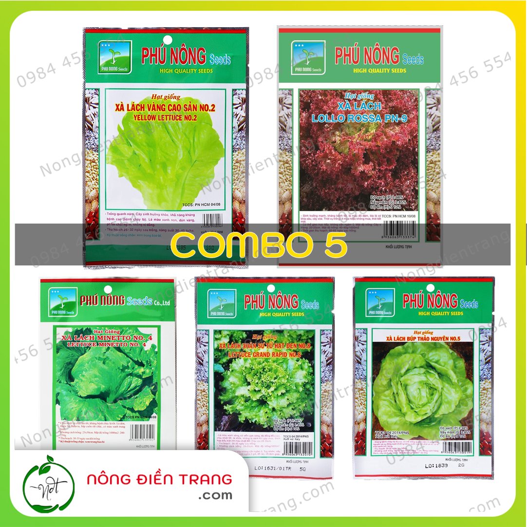 COMBO 5 gói hạt giống rau xà lách các loại - Hạt giống rau củ quả S Garden
