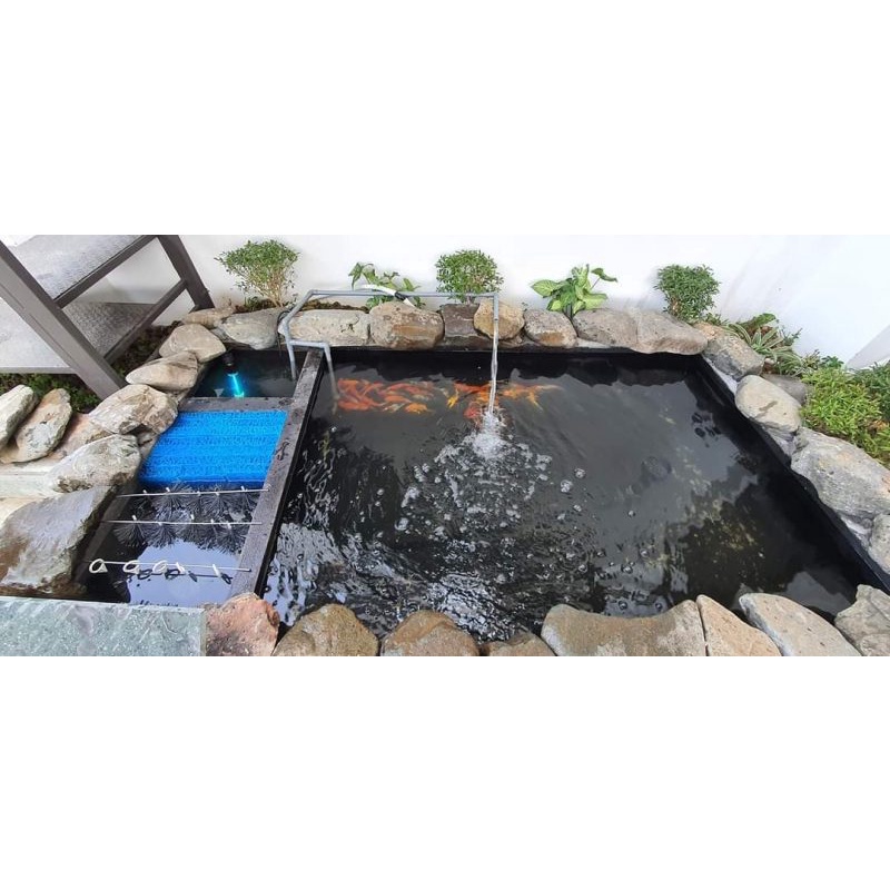 BÁO GIÁ Chổi 60cm | Shopee Lazada Sendo Tiki mới nhất 52 Chổi lọc nước hồ cá 60cm 80cm 100cm 120cm
