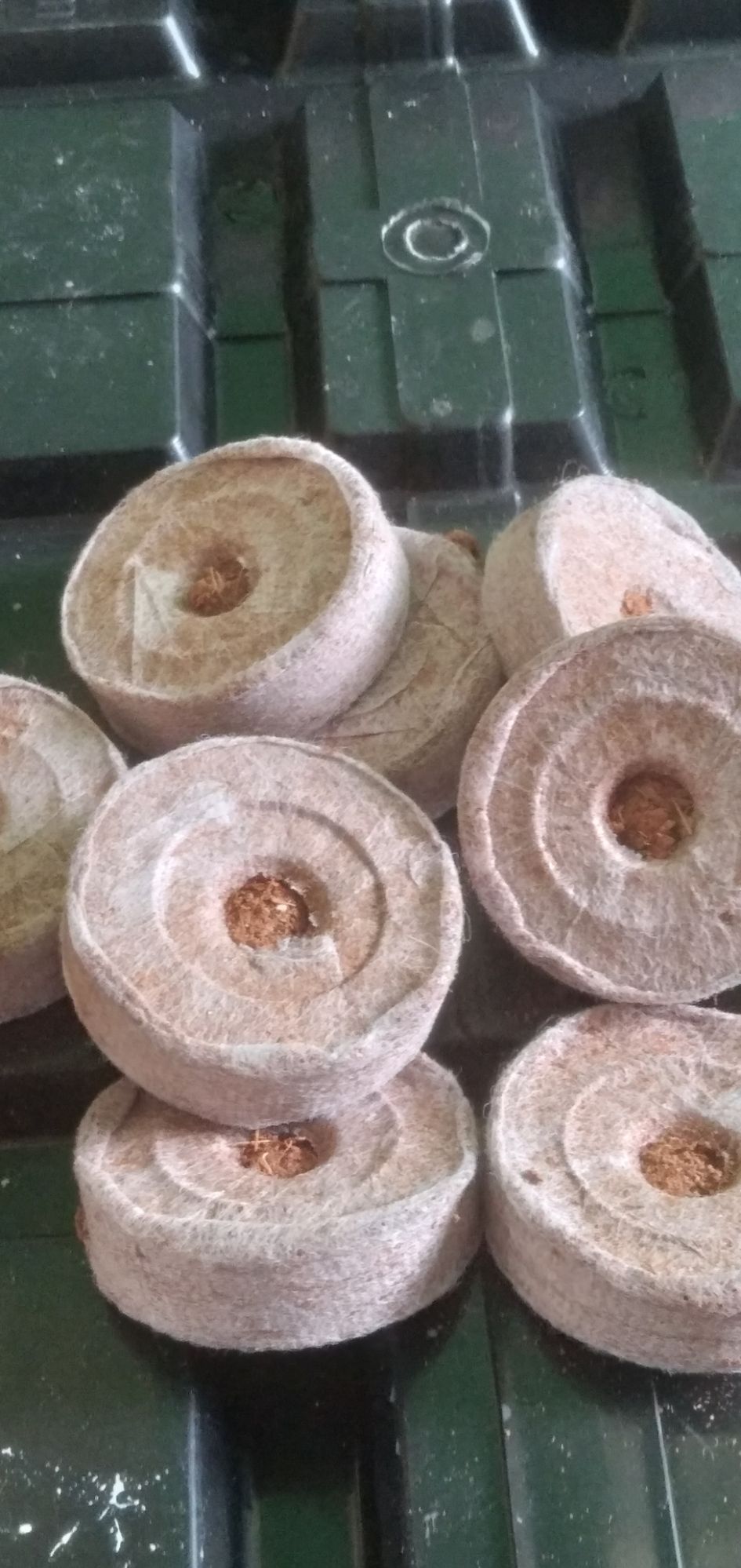 [HCM]Viên nén xơ dừa ( 100 viên)
