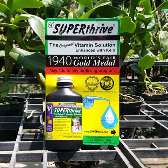Siêu Dưỡng Chất Superthrive 1940 - 60ml