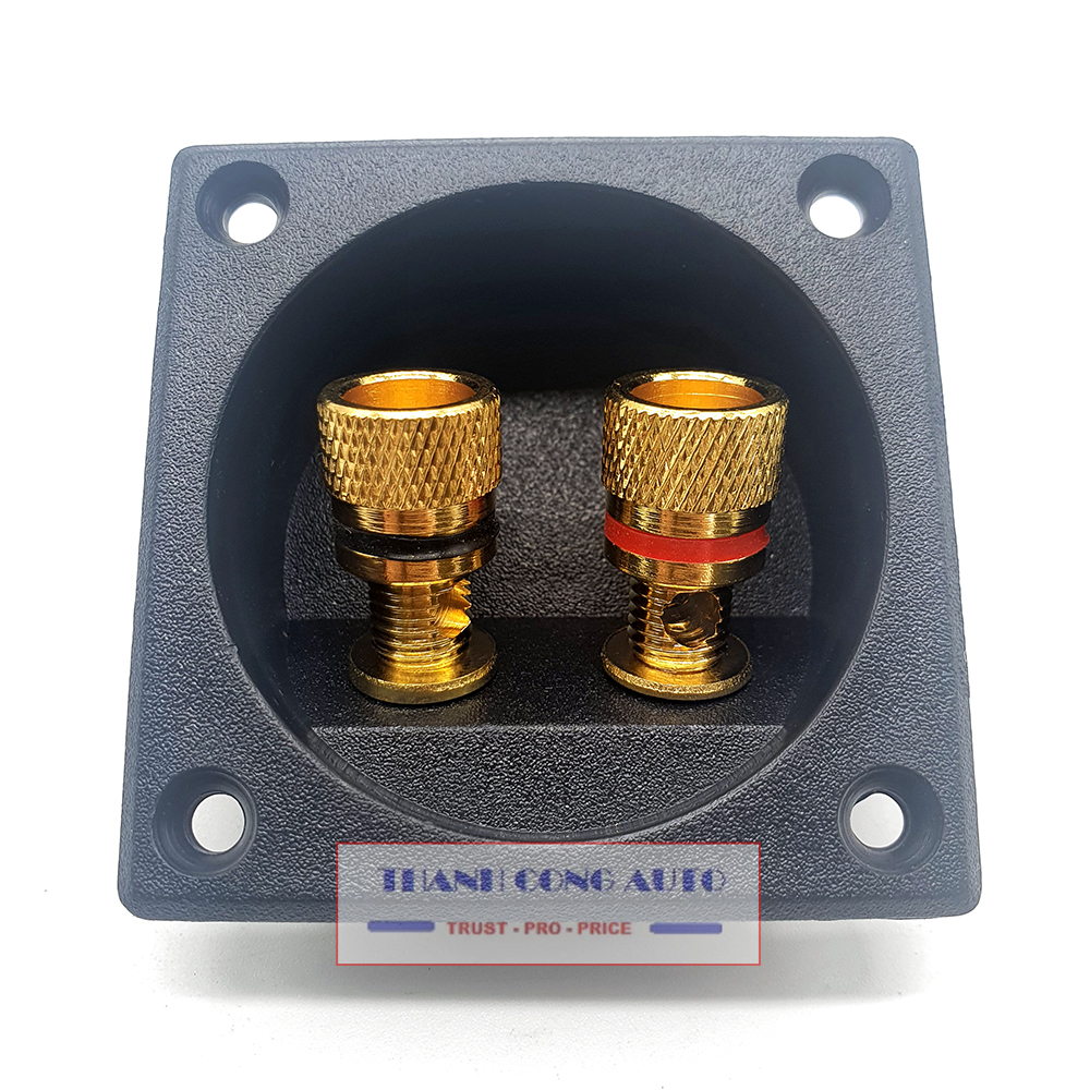 01 chiếc cọc máng loa hình vuông - Bộ hậu loa