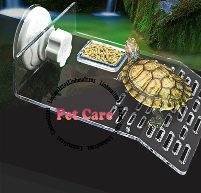 Bệ phơi nắng cho rùa trong suốt size
