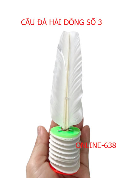 Cầu Đá Cao Cấp Hải Đông Số 3