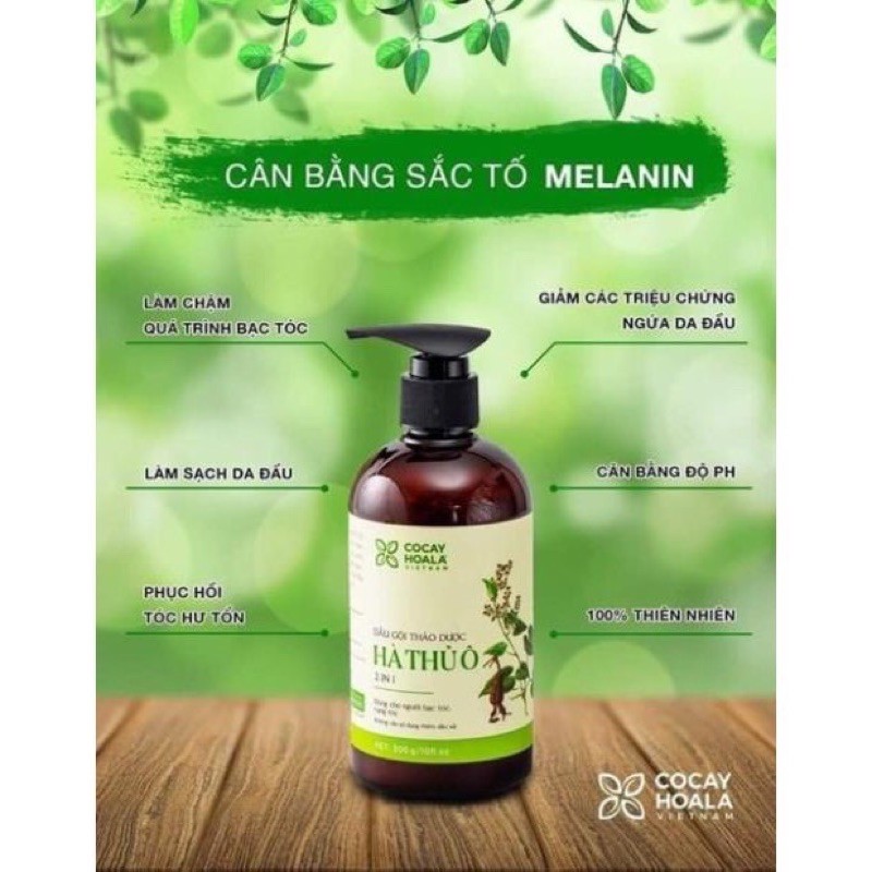 ( GIÁ SỈ ) Dầu gội thảo dược Hà Thủ Ô 500ml