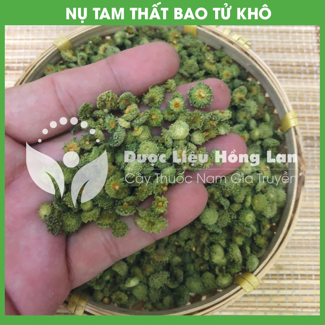 Trà nụ hoa tam thất bao tử khô loại 1 đóng gói 500g - công ty dược liệu hồng lan