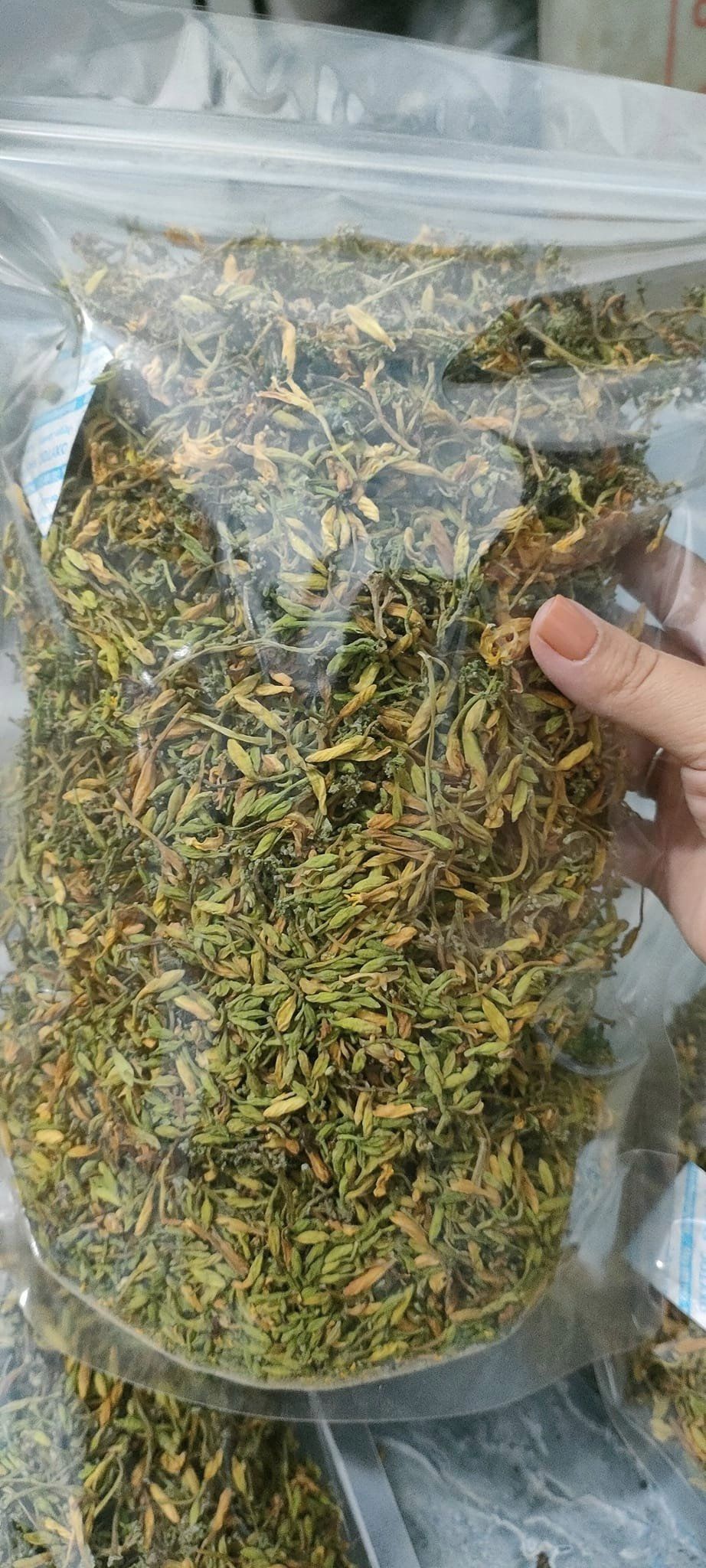 Hoa Đu đủ Đực Sấy Lạnh Khô đảm bảo chất lượng