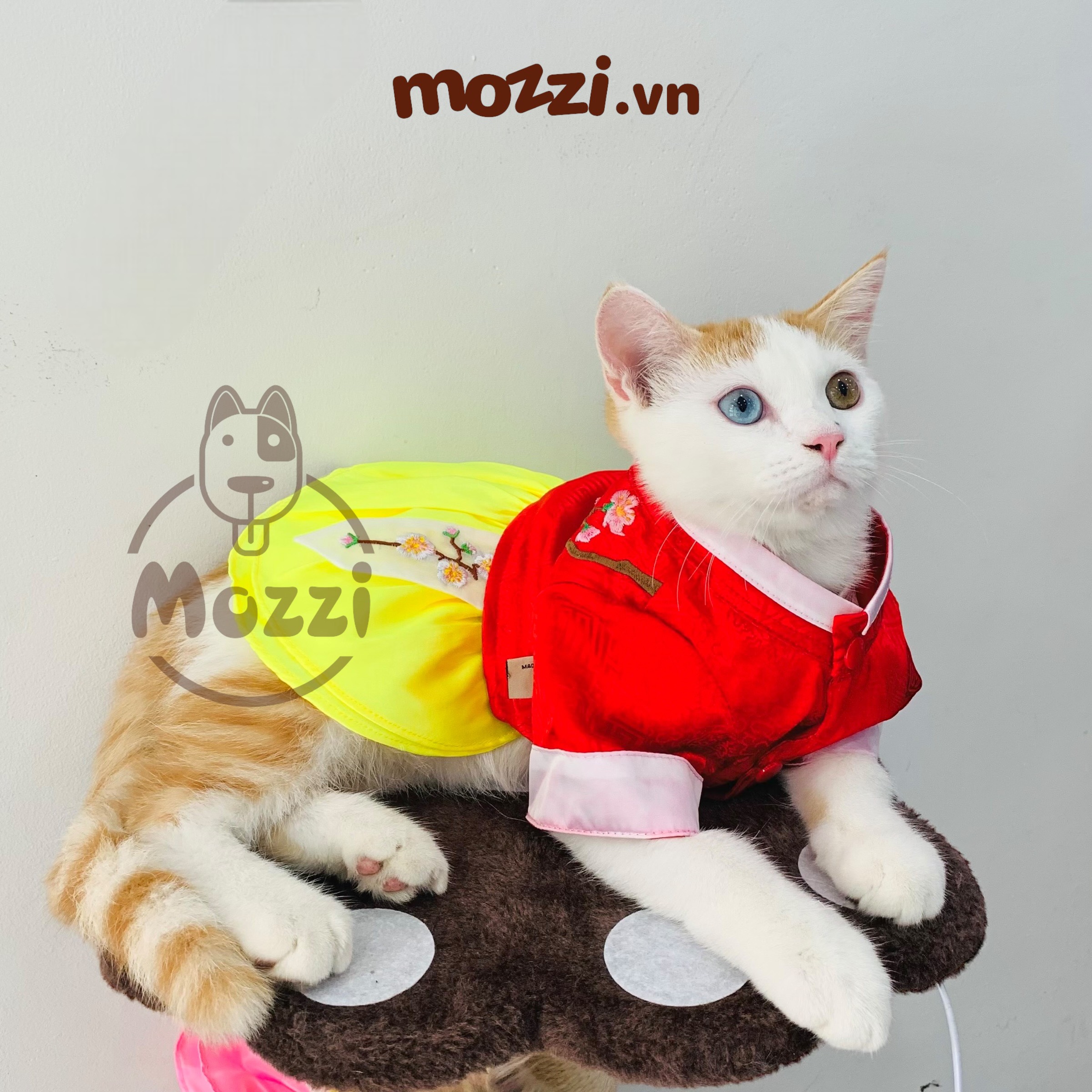 Đầm Hanbok Hàn Quốc cho chó mèo