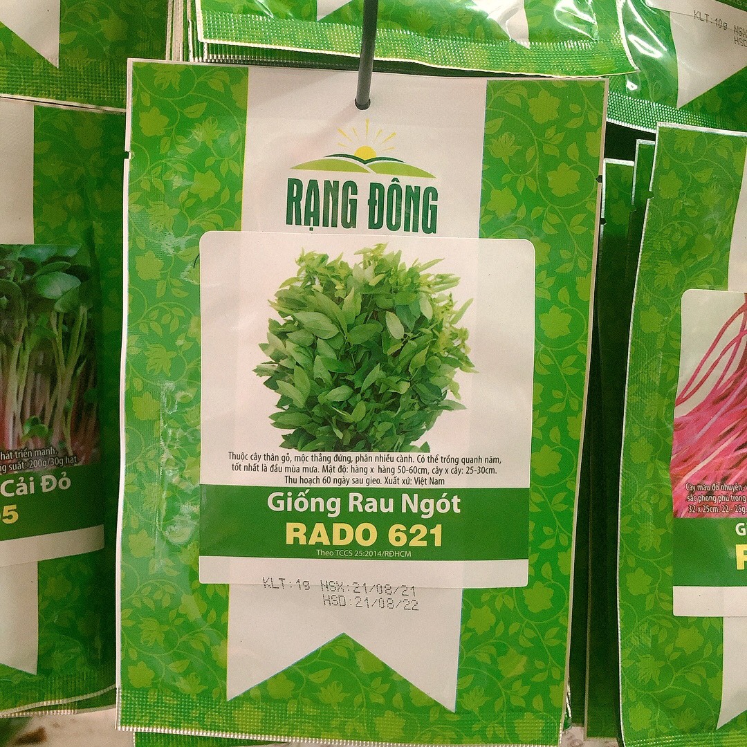 Giống rau bồ ngót rd (1g)