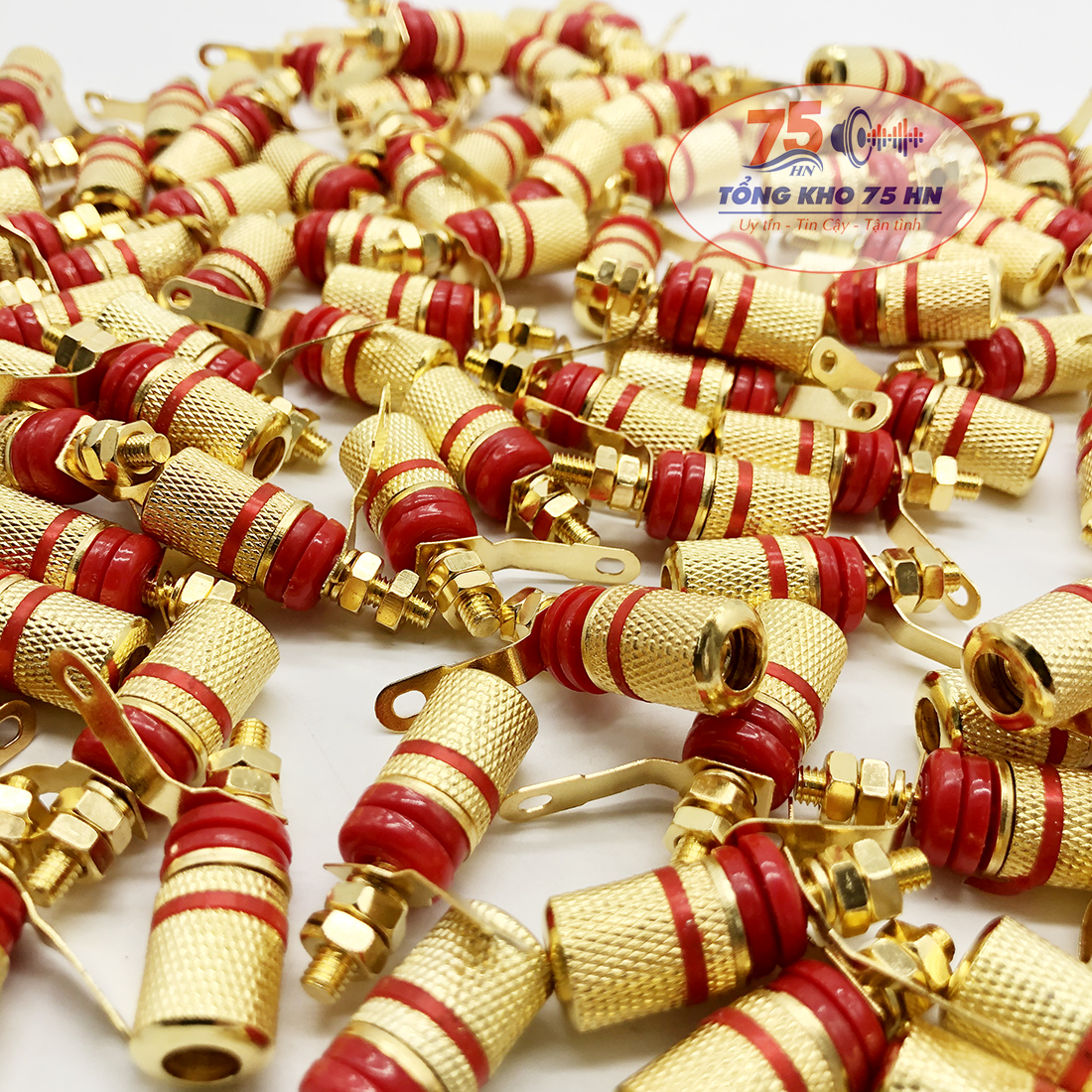Cọc loa bắt ốc ở chân( đơn giá 1 cặp)