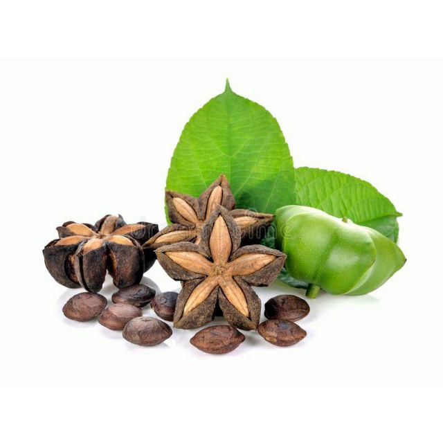 [500g]hạt sachi sấy chín oganic daklak ( hạt sa chi) thơm ngon