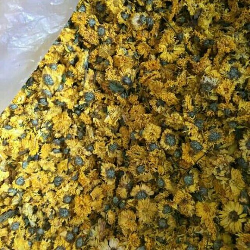 Trà hoa cúc vàng (hoàng cúc) khô 100g