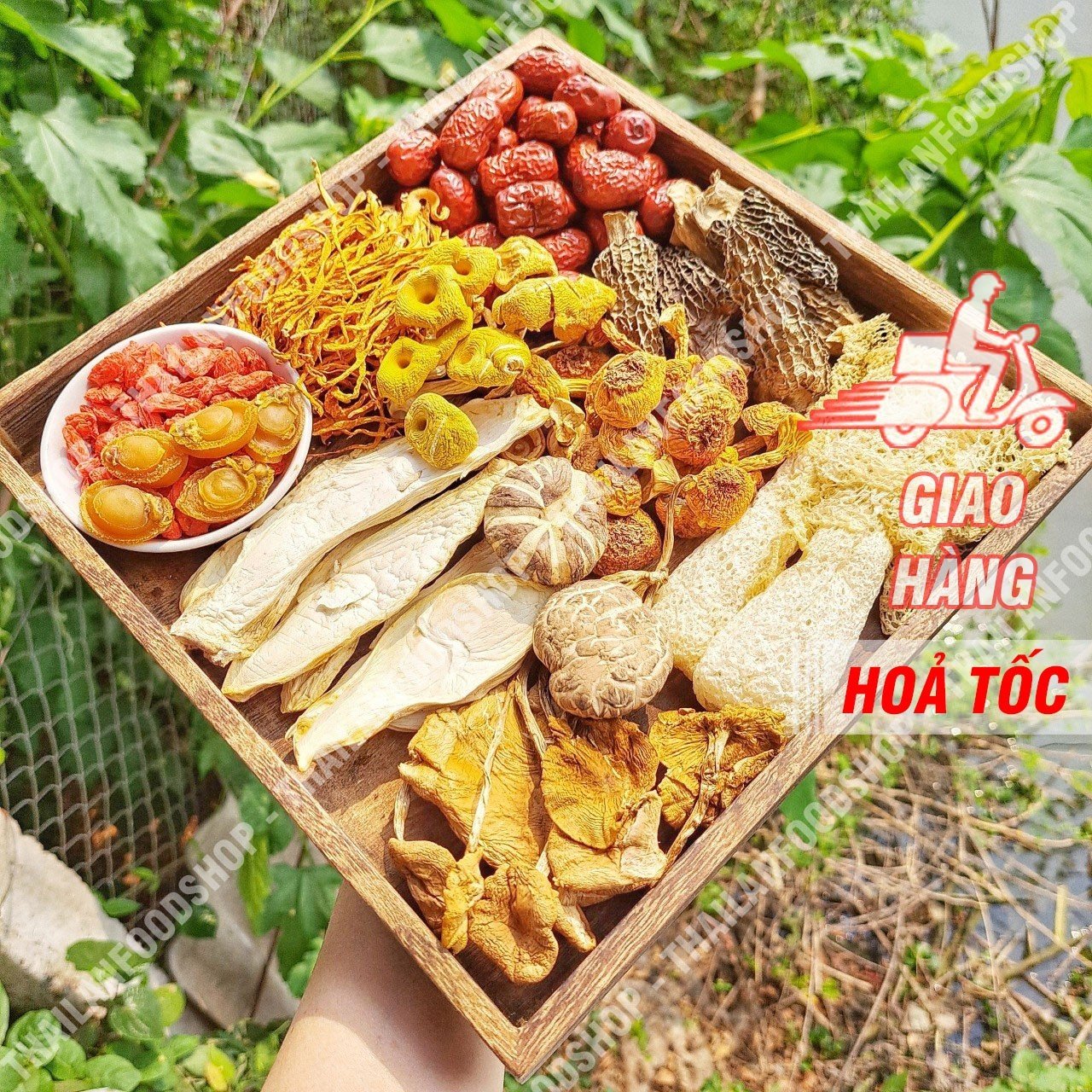 Set Canh Nấm Dưỡng Sinh