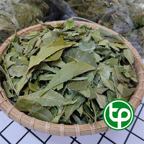 Lá neem ấn độ sấy khô 500g - Hàng công ty chất lượng cao - Chuyên dùng để pha trà cải thiện sức khỏe người bệnh tiểu đường - Thảo Dược Tấn Phát