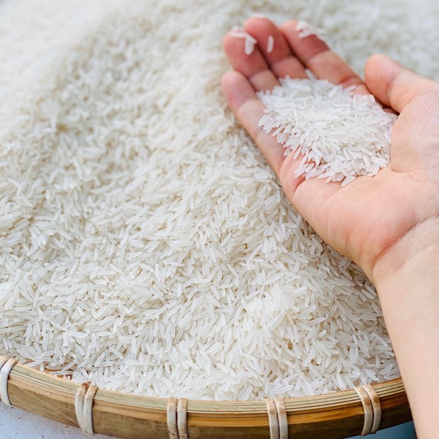 COMBO 3 BAO GẠO VEBO ST25 (TỔNG 15KG) [date mới]