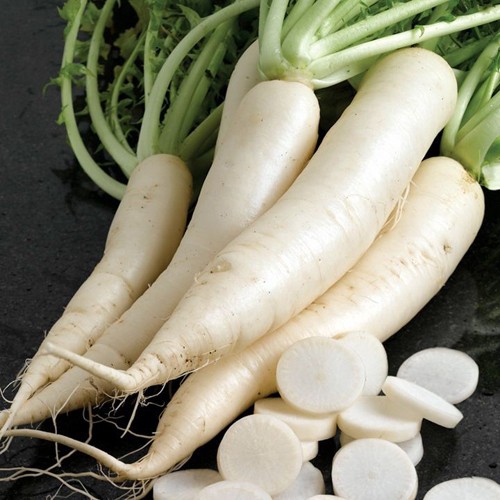 20GR_HẠT GIỐNG CỦ CẢI TRẮNG