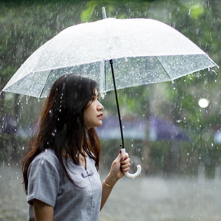 Ô dù trong suốt phong cách hàn quốc