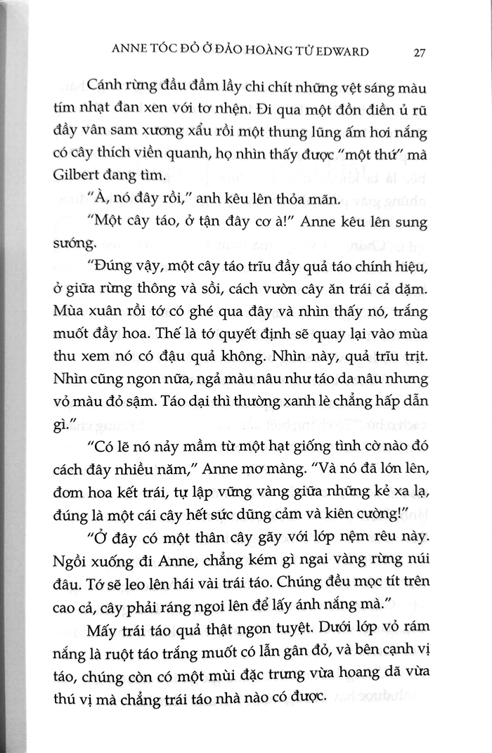 Tiểu thuyết - Anne tóc đỏ ở đảo Hoàng Tử Edward