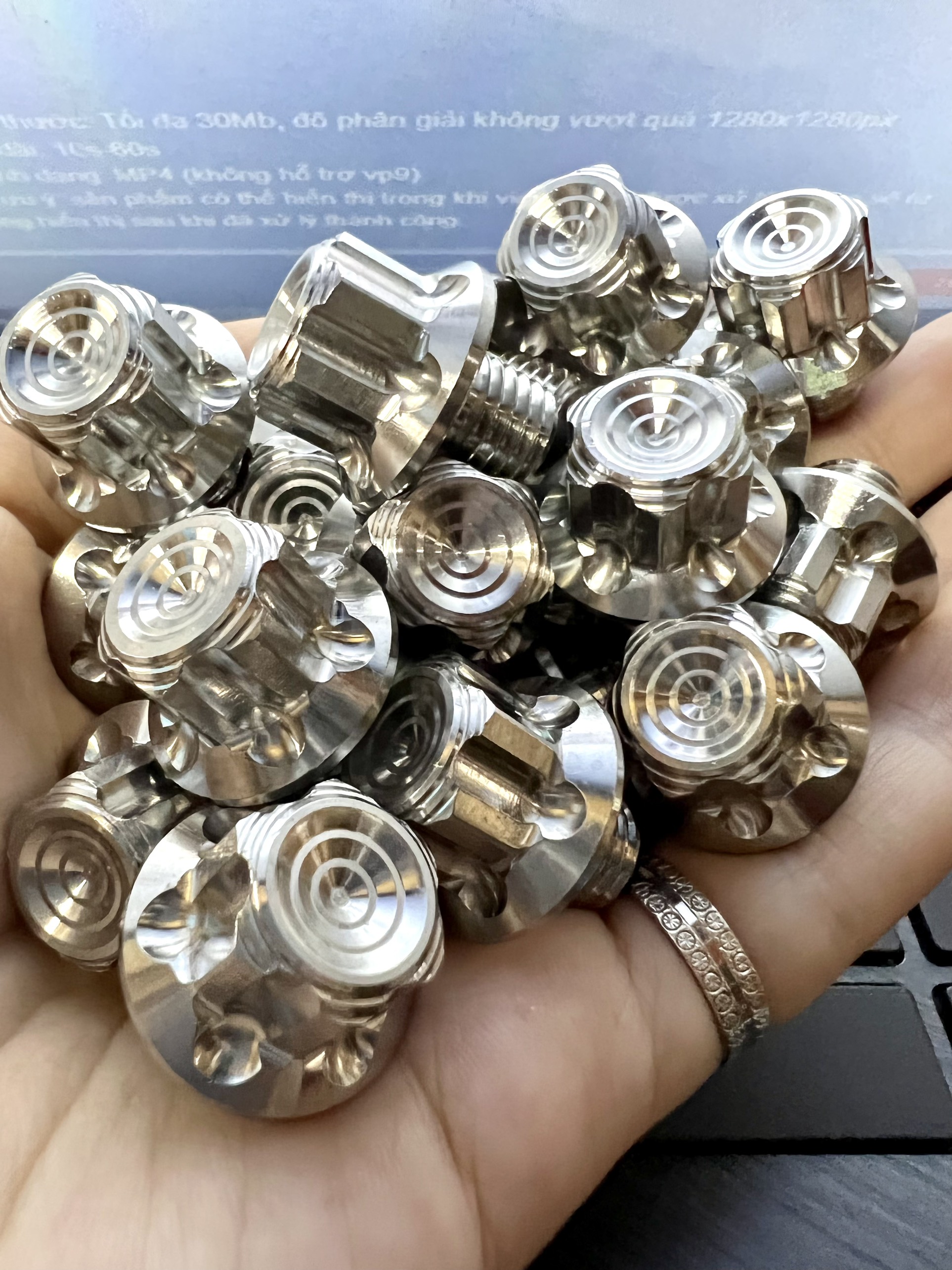 Ốc Chân Gương Salaya Thuận 10ly