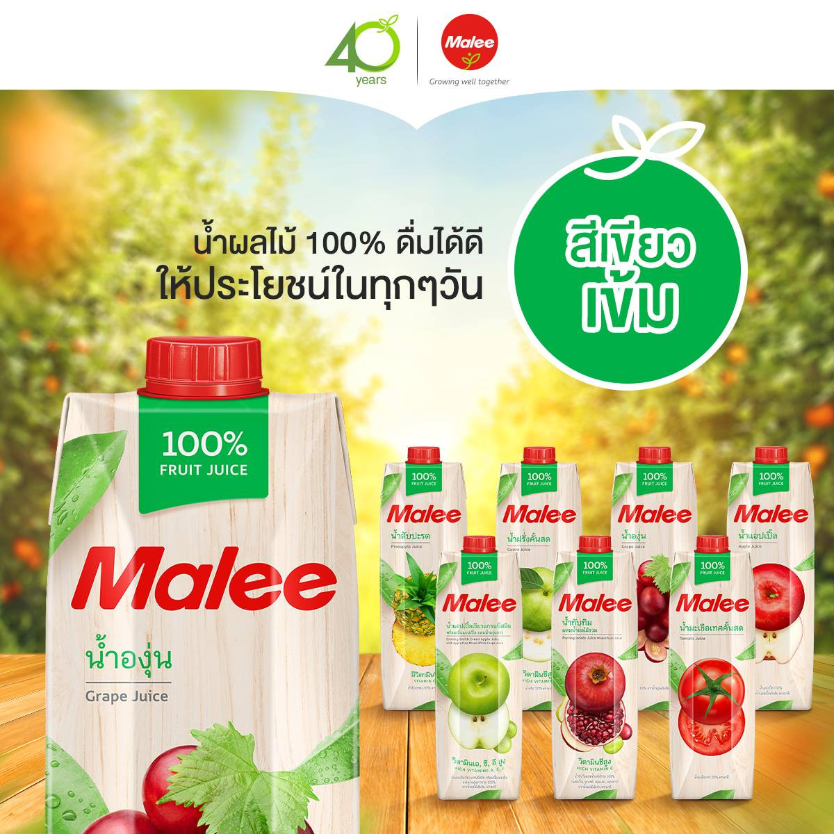 Nước Ép Nho Malee 1L - Nhập Khẩu Thái Lan | Malee 100% Grape Juice 1L