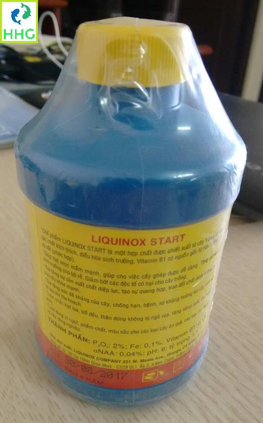 Phân Bón Kích Ra Rễ START VITAMIN B1-Mỹ 235ml