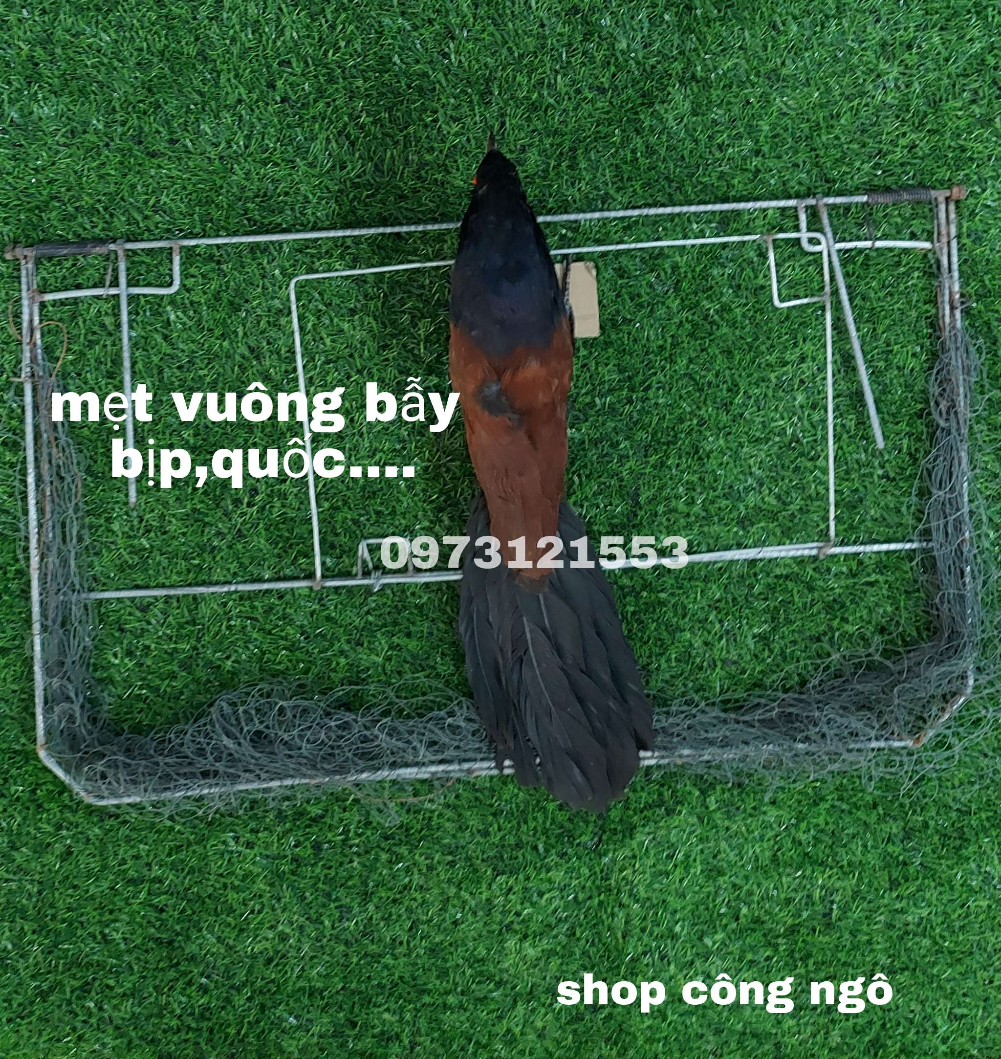 bịp giả nhồi keo. siêu bền
