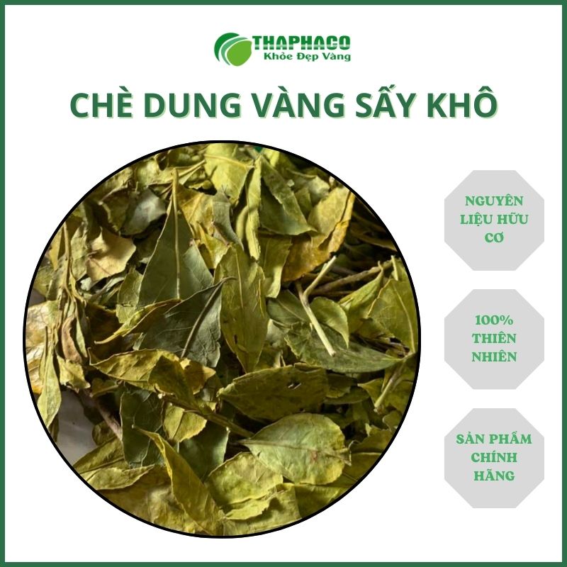 Chè Dung Vàng Sấy Khô Túi Lớn Loại 1kg - Hàng Sạch Xanh Chất Lượng Cao Giá Tốt - Thảo Dược THAPHACO