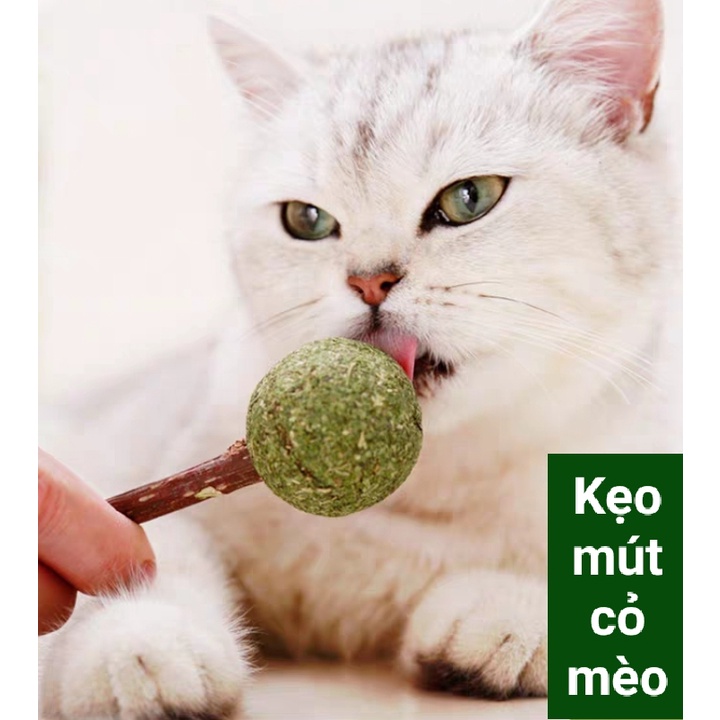 Que Kẹo Cỏ Bạc Hà - Que Catnip Cho Mèo - [Nông Trại Thú Cưng]