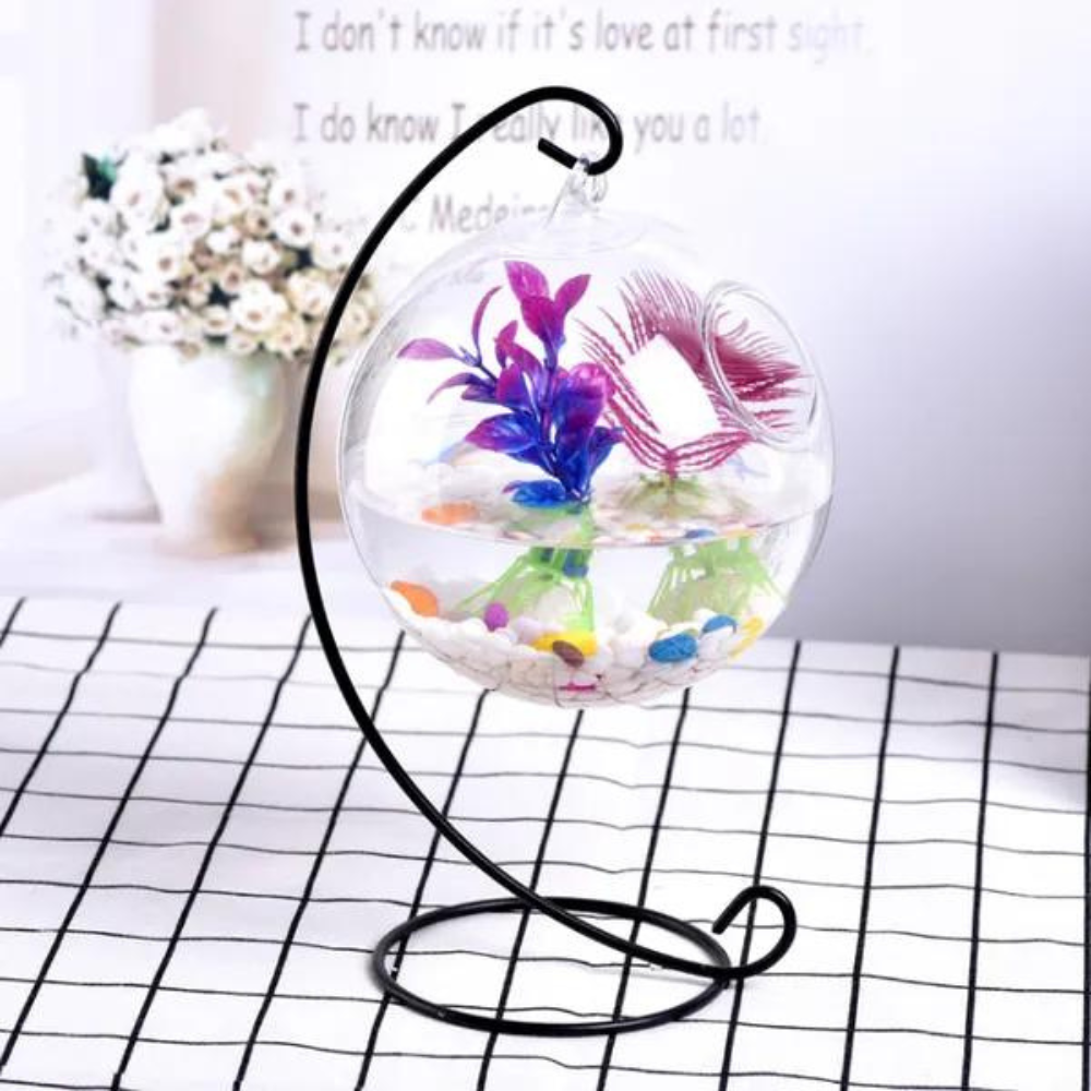 Bể cá mini treo khung chữ C để bàn