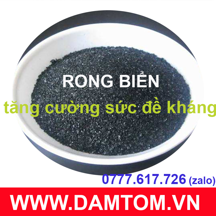 Bột rong biển dạng bột, vảy tan 100%