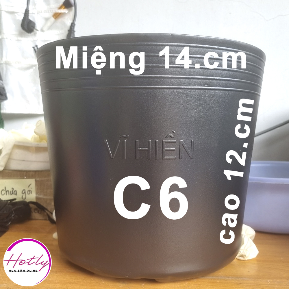 [HCM]50 Chậu nhựa C6 trồng cây và ươm cây giống miệng.cao 14x12 cm -77100