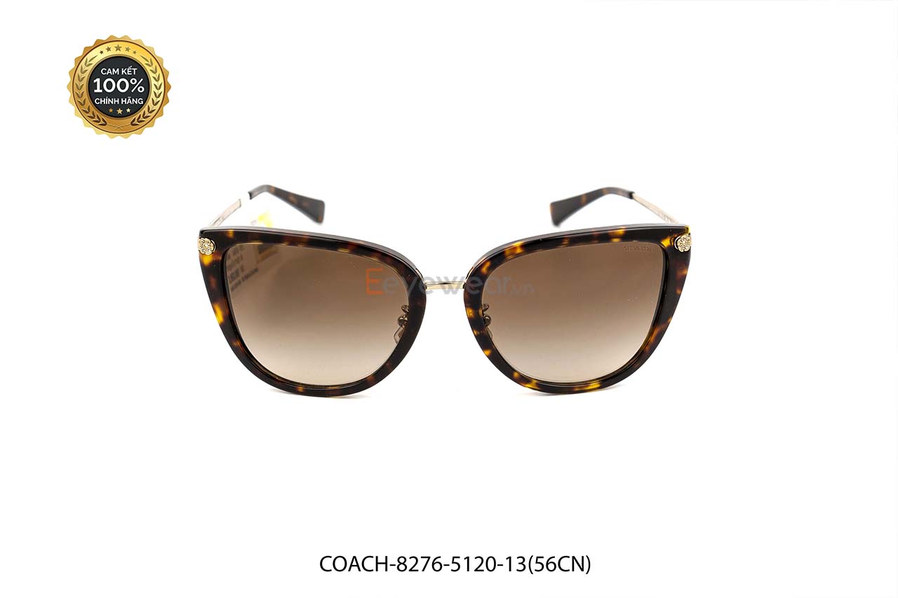 [100% CHÍNH HÃNG] KÍNH MÁT COACH-8276