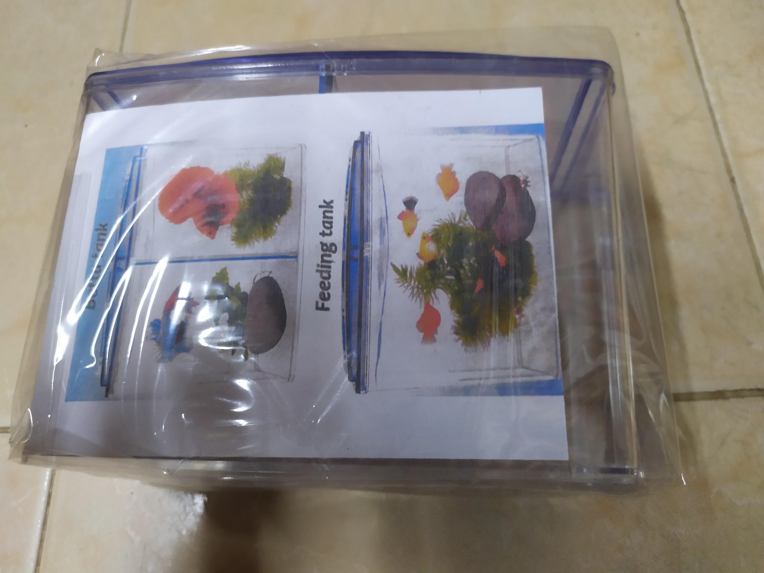 [HCM]Hồ Cá Betta 2 Ngăn Bằng Nhựa
