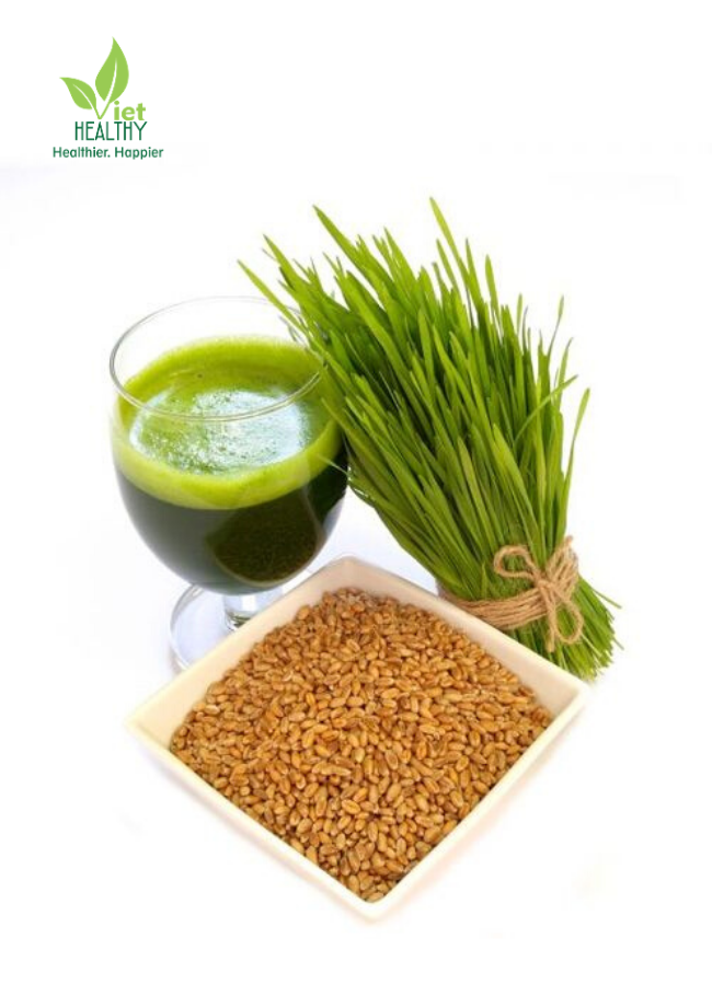Hạt giống cỏ lúa mì 1 kg