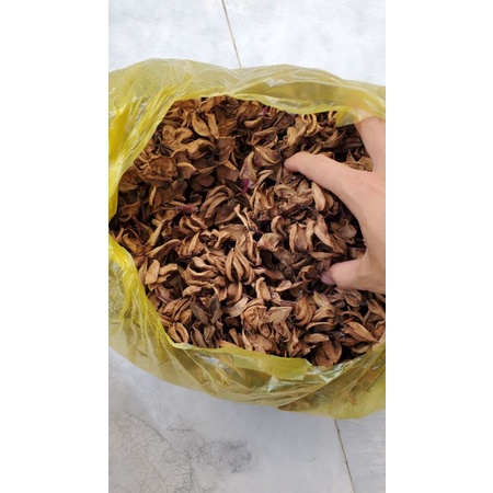 Hoa sứ khô trang trí handmade