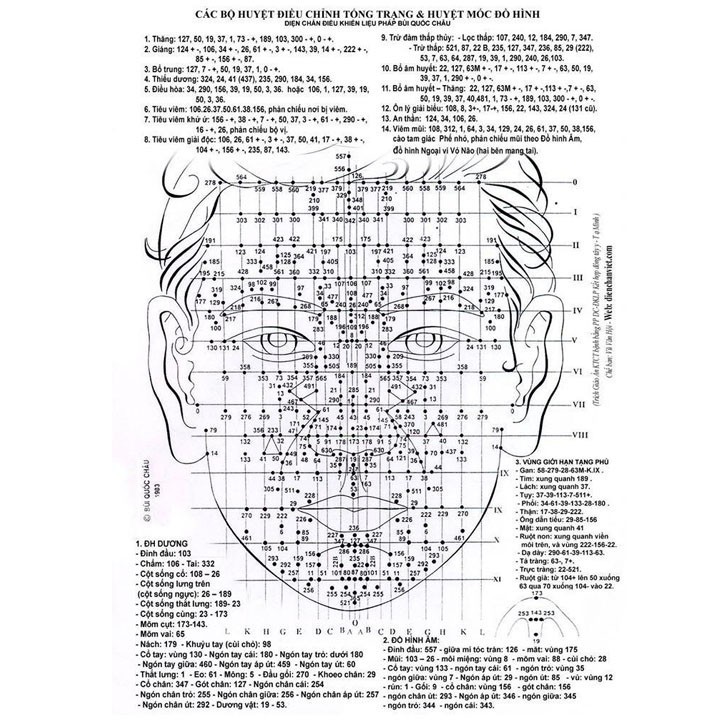Thanh lăn đồng đôi lớn Diện Chẩn