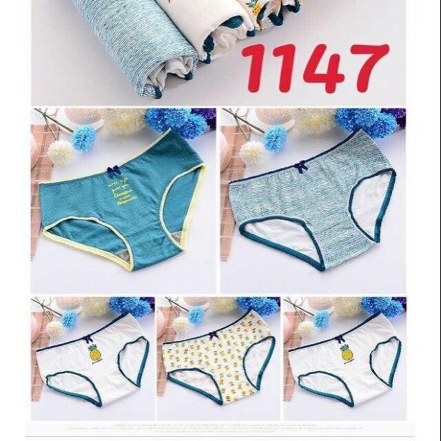 Combo hộp 5 quần cotton siêu cute