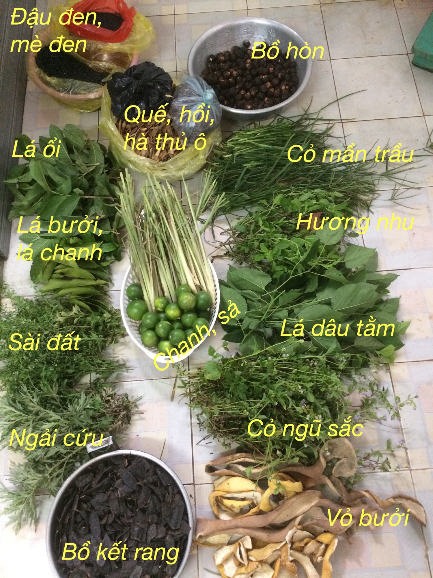 Nước gội thảo mộc Lee Herbal Shampoo