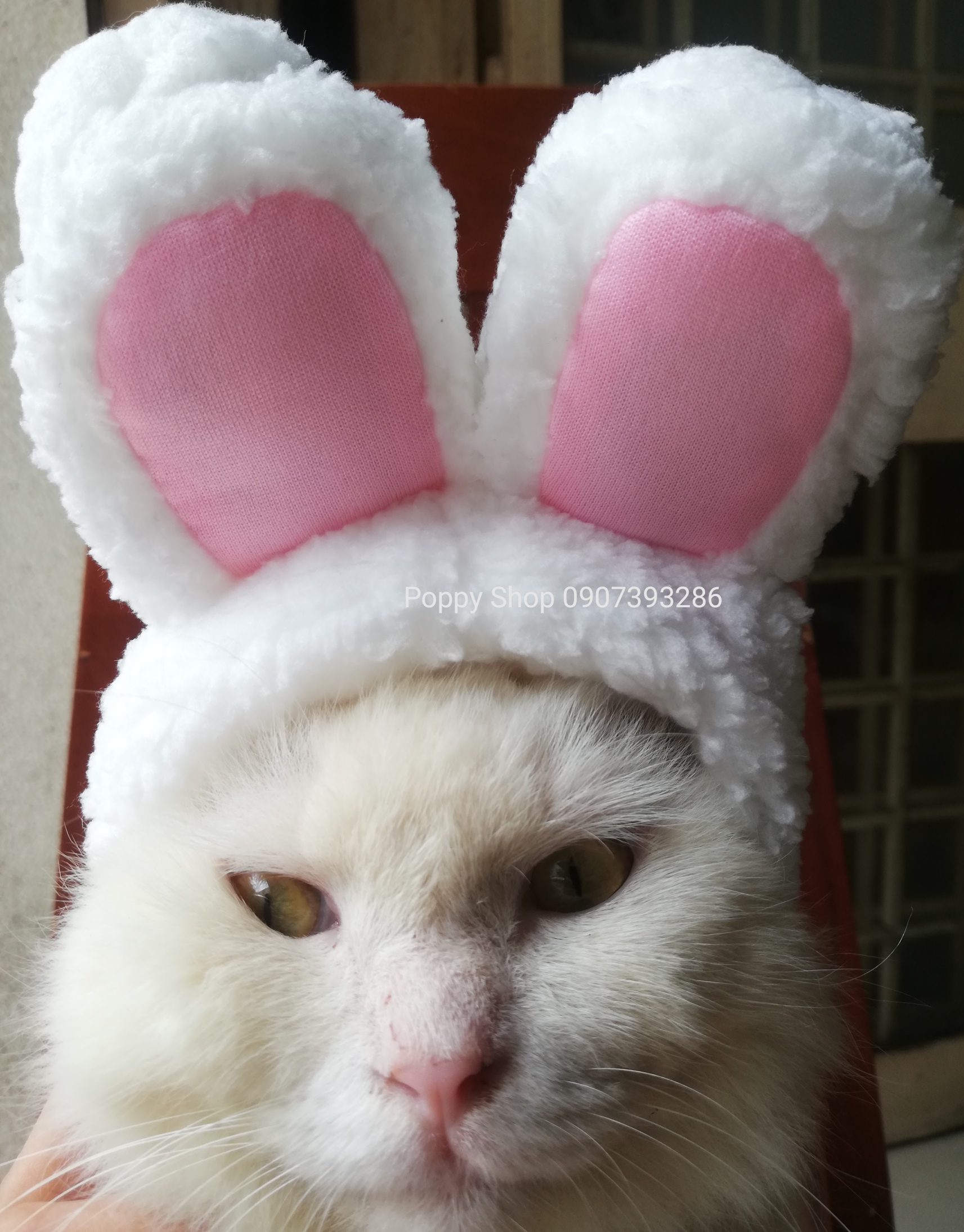 Mũ Tai Thỏ Cho Pet (Có ảnh thật)