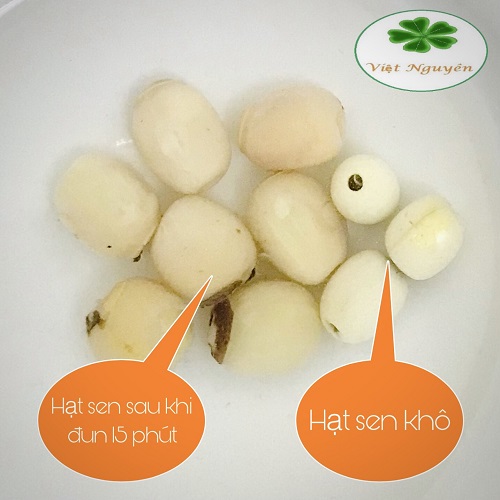 Hạt sen khô hưng yên loại 1