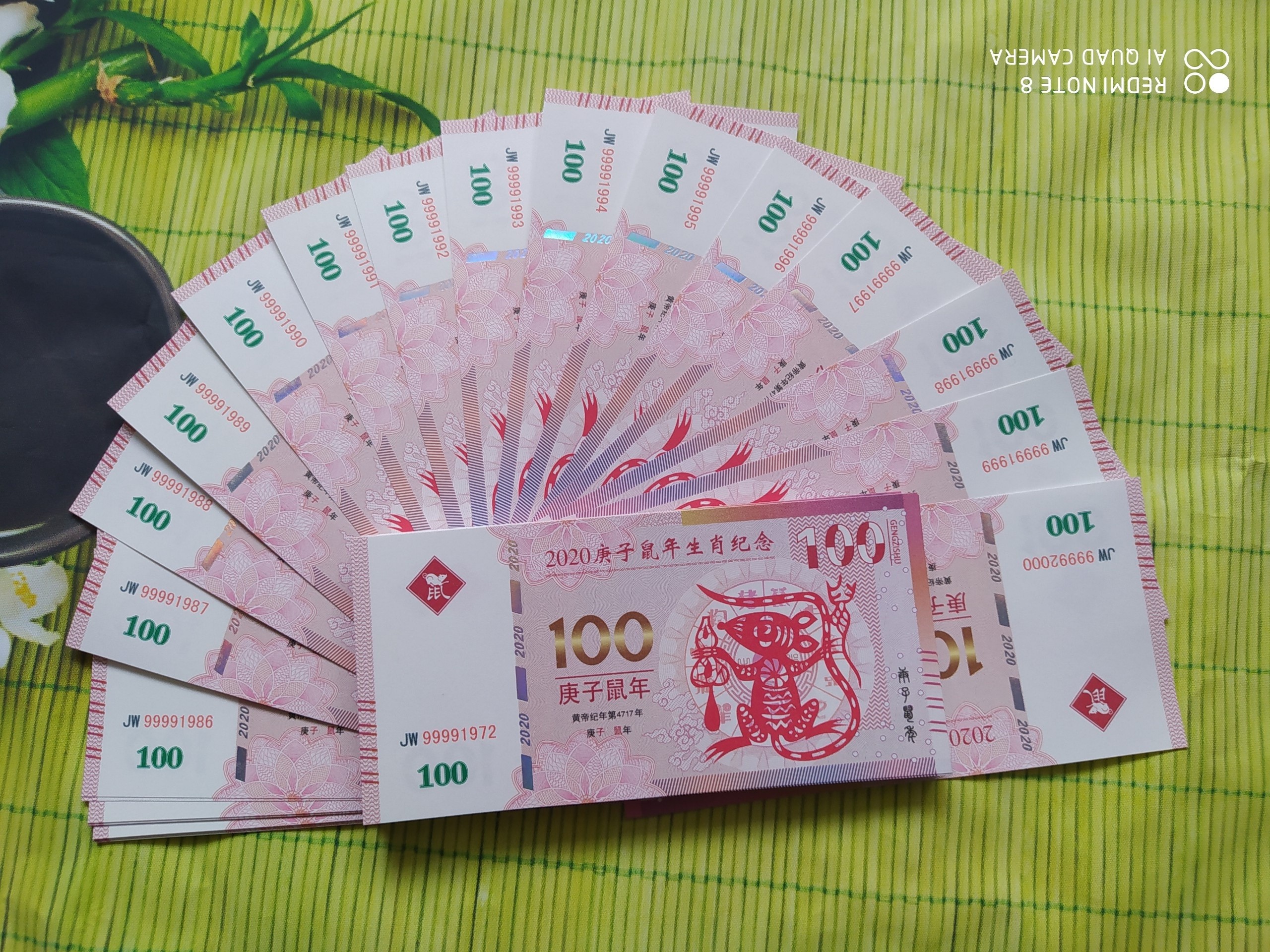 MACAU HÌNH CHUỘT 2020