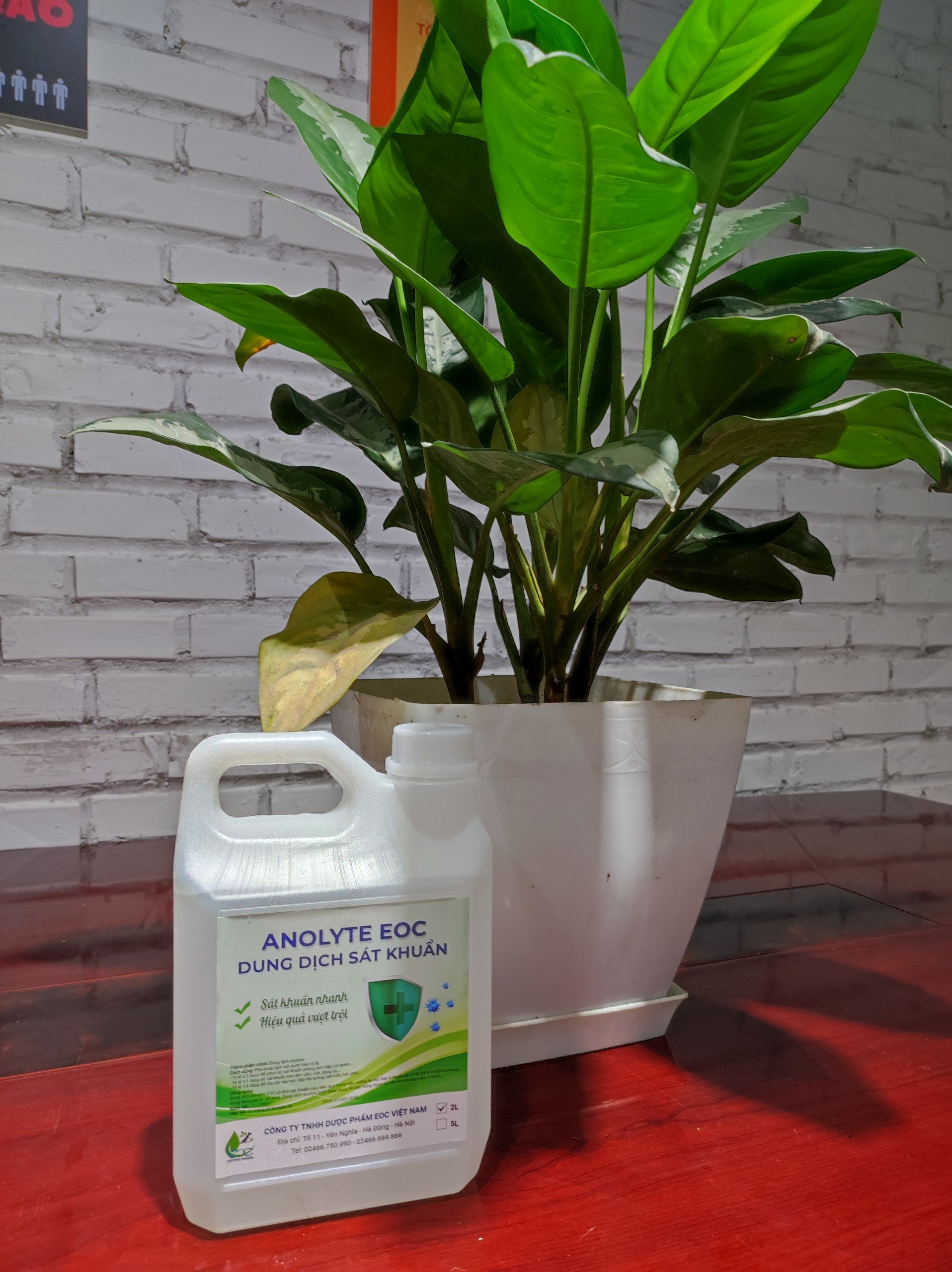 Dung dịch s&aacute;t khuẩn ANOLYTE EOC can 2 l&iacute;t (nước A)