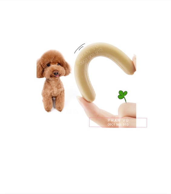 XÚC XÍCH ĂN LIỀN CHO CHÓ MÈO 🌭