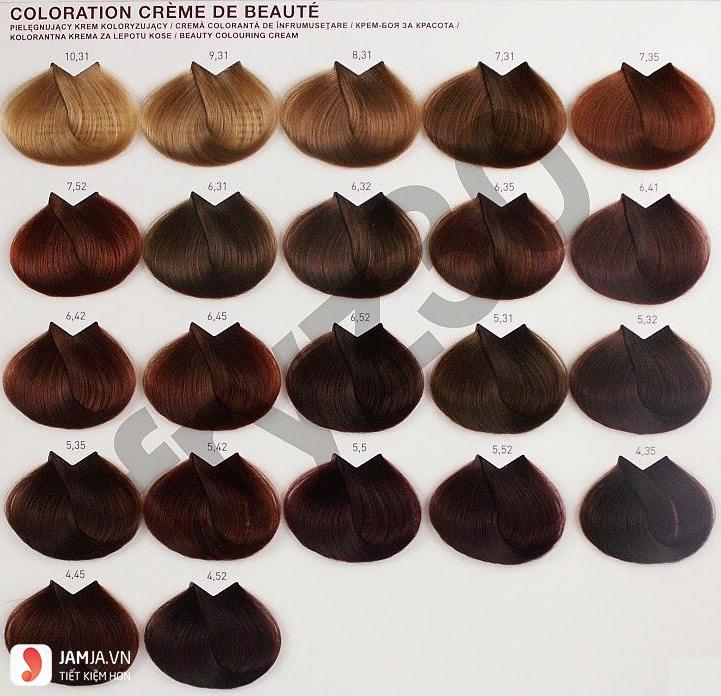 Nhuộm Tóc Phủ Bạc Loreal số 6.35
