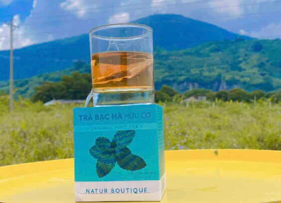 Trà Bạc hà hữu cơ, 20 túi lọc (Organic Mint Tea, 20 Teabags)