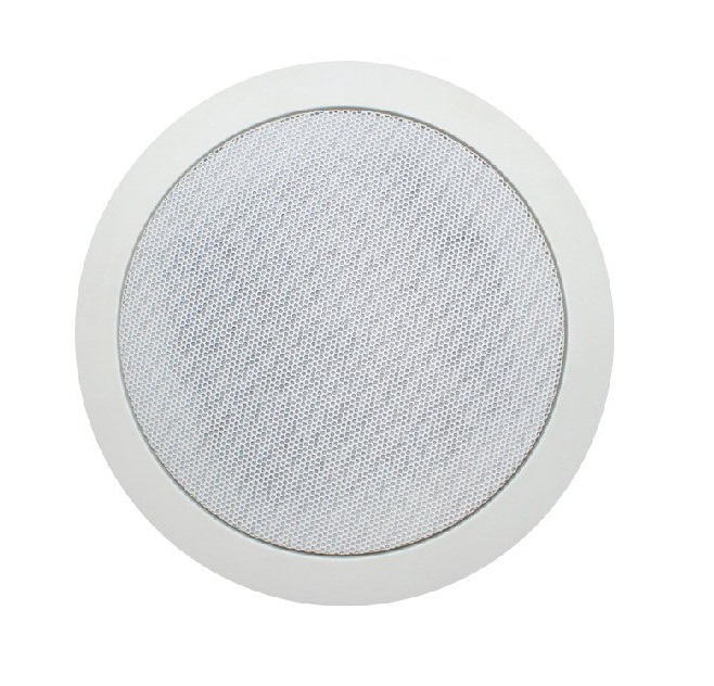 Loa âm tường - âm trần KS-812B (1 loa)