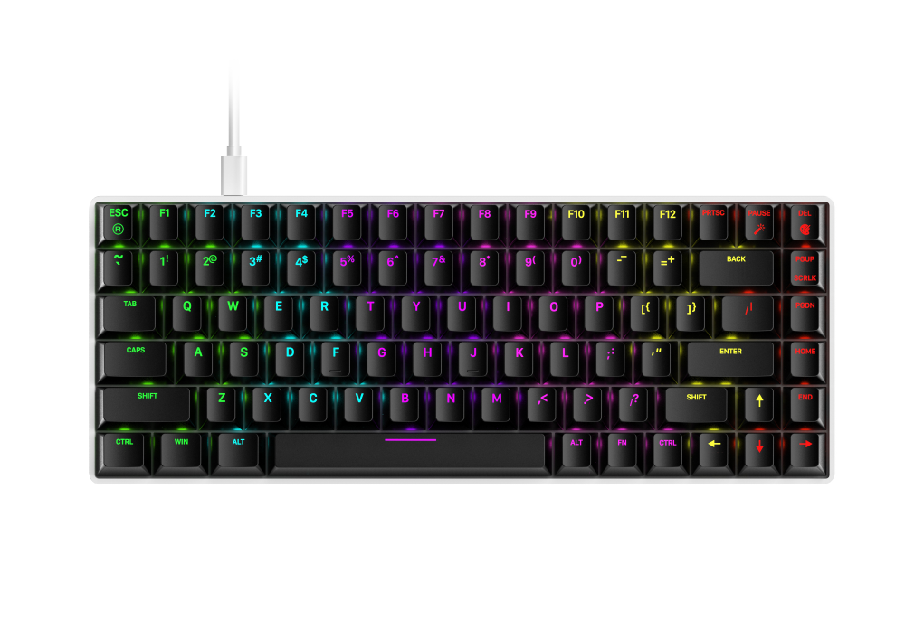 Bàn phím cơ Gaming DAREU EK884 84KEY (RGB, Blue/ Brown/ Red D switch)