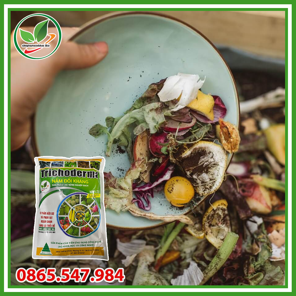 Nấm ủ Trichoderma dạng bào tử chịu nhiệt cao cấp. Túi 1kg